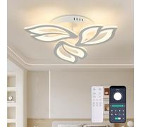 LED Ceiling Light, Dimmable LED Ceiling Lamp With Memory Function, 30W 3000lm, Φ50, Dimming Range 3000K-6000K, Acrylic Creative Chandelier for Living Room, Bedroom and Office [Energy Class
