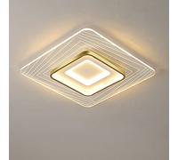 LED Ceiling Light Dimmable Restaurant with Remote Control Ceiling Lamp Modern Acrylic Chandelier Metal Ceiling Spotlights for Living Room Bedroom Bathroom Cottage Lamps