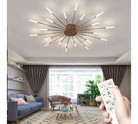 LED Ceiling Light dimmable with Remote Control, Fireworks Ceiling lamp Modern, 3000-6000K LED Chandelier for Living Room Bedroom Kitchen Hallway Children's Room Dining Room (20, Gold)
