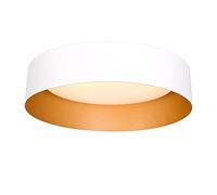 LED Ceiling Light Fixture,12.5 inch/31.75cm Flush Mount Light Fixture,Matte White with Gold Inside,Dimmable 3000K/Warm White/18W,Outdoor Lighting Fixtures Ceiling for Bedroom and Hallway