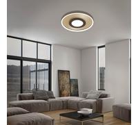 Led Ceiling Light Gold Round Ø49.5cm 25W 3000lm CCT Dimmable Remote Control
