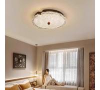 LED Ceiling Light Modern Flat Ceiling Lamp Dimmable Living Room Lamp Bedroom Lamp Polystyrene Lampshade Decorative Lights Boys and Girls Room Light Dining Room Living Room Metal Chandelier