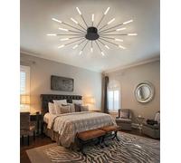 LED Ceiling Light ModernLiving Room Ceiling Lamp Dimmable with Remote Control Lighting Creative Fireworks Light Black Ceiling Lighting Suitable for Bedroom Living Room Kitchen (Black, 20)