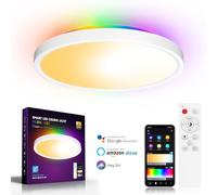 LED Ceiling Light, Smart RGBIC Flush Ceiling Lights Work with Alexa & Google Assistant, for Bedroom Living Room Kitchen, Round (2700-6500K)