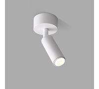 LED Ceiling Spotlight Adjustable Mount Spot Lighting Indoor, 5W 6000K Directional Spotlights Aent Lamps Wall Swivel Lamps for Living Room Gallery Corridor