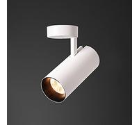 LED Ceiling Spotlight COB Surface Mounted Accent Lighting Fixture, 30W Ceiling Spot Light Aluminum Ceiling/Wall Swivel Spotlights for Living Room Dining Room Gallery