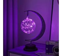LED Decorative lamp Table lamp 3D Magic Moonlight Wrought Iron Night Light Christmas Home Decoration Birthday Gift USB Power Supply 5.5 * 5.1 * 11 inches （Round Ball Purple）