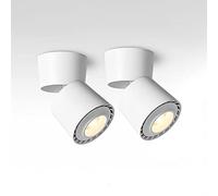 Led Directional Spotlight Indoor Ceiling Light Fixture, 2 Pcs Indoor Surface Mounted Aent Spot Lighting, Gallery Picture Corridor Living Room Ceiling Spotlights/White3000K