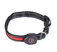 LED Dog Collar, USB Rechargeable Nylon Adjustable Pet Collar, Red Blue Pink, S M L Sizes - Bright Safety Light, Charging, Night Walking Protection (L)