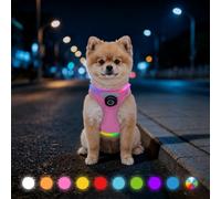 LED Dog Harness S Pink, Light Up Harness for Small Dogs | 3D Air-flow Mesh, USB-C Rechargeable 10 LED Colours, S: Neck 30-32cm, Chest 36-44cm, for Small Breeds