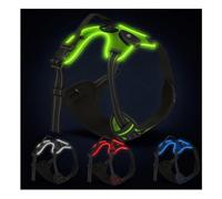 LED Dog Harness - USB Rechargeable, Reflective & Comfortable, with Sturdy Handle and Dual Leash Clips, Light-Up Safety Vest for Small, Medium & Large Dogs (Green, L)