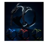 LED Dog Harness - USB Rechargeable, Reflective & Comfortable, with Sturdy Handle and Dual Leash Clips, Light-Up Safety Vest for Small, Medium & Large Dogs (Black, S)