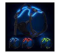 LED Dog Harness - USB Rechargeable, Reflective & Comfortable, with Sturdy Handle and Dual Leash Clips, Light-Up Safety Vest for Small, Medium & Large Dogs (Blue, S)