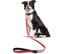 LED Dog Lead for Dogs, Reflective Dog Lead with 4 Light Modes, 1.2 m USB Lead Dog Large Dogs Rechargeable High Visibility for Large and Small Dogs, Safety for Walks (Red)