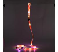 LED Dog Leash and LED Dog Collar,Rechargeable Dog Leash and Dog Collar(for Small,Medium Dog),Light Up Dog Leash Rechargeable,4 Ft Lighted Dog Leash for Night Walking Safety Glow in The Dark (Red)