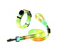 LED Dog Leash and LED Dog Collar,Rechargeable Dog Leash and Dog Collar(for Small,Medium Dog),Light Up Dog Leash Rechargeable,4 Ft Lighted Dog Leash for Night Walking Safety Glow in The Dark (Yellow)