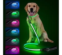 LED Dog Leash, Light Up & Lighted Dog Leash Rechargeable, 7 Lighting Modes, Reflective Double-Sided Light Leash with Padded Handle, 360 Swivel Clip for Night Walking (1.2 m / 4 ft)