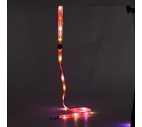 LED Dog Leash,Rechargeable Dog Leash,Light Up Dog Leash Rechargeable,4 Ft Lighted Dog Leash for Night Walking Safety Glow in The Dark (Red Leash)