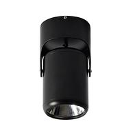 LED Downlight Ceiling Spotlight 15W Surface Mounted Ceiling Light Background Wall Spotlight Restaurant Bar Counter Wall Lamp For Kitchen Living Room Bathroom Surface Installation Interesting