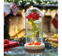 Coopers of Stortford - Eternal LED Rose in Glass Dome with Wooden Base - Lifelike Bloom Forever Decorative Gift with 15 Battery Operated Lights