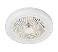 LED Fan Light, Abdominal Fan Blades 9.8IN 6000K Color Temperature Light 2 Installation Methods for Living Room