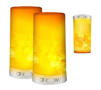 LED Flame Light, Flame lamp Candles Fire Lanterns Outdoor Hanging Lamps,USB Rechargeable Waterproof Dimmable 4 Modes Lantern,Outdoor Flickering Light Bulb with Gravity Sensing Effect&Magnetic Base