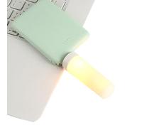 LED Flame Light - LED Flame Bulb USB Rechargeable | Flame Bulb for Home Party Garden Camping USB Rechargeable Save Energy | Decorative Fireplace Light for Room Bar Decor Natural Effect