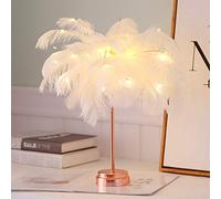LED Flashing Light Bedroom Room Decoration Feather Flashing Bedside Table Battery Light USB Interface Light (White USB)