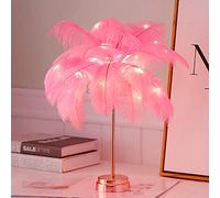 LED Flashing Light Bedroom Room Decoration Feather Flashing Bedside Table Battery Light USB Interface Light (Pink Battery Style)