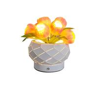 LED Flowerpot Desk Lamp with Dimmable Colors, USB Rechargeable for Home Decor and Party Lighting