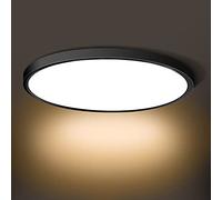 LED Flush Mount Ceiling Light Fixture, 2800K Warm White 24W(240W Equivalent) 12 Inch Flat Round Modern Ceiling Lighting, 3200LM Ceiling Lamp for Bathroom Porch, Kitchen, Bedroom, Living Room, Hallway