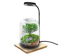 LED Grow Light - Plant Grow Light, Full Spectrum Desk Lamp | Versatile Decorative Plant Lamp for Home Office Display Cabinet Study Room Use Dimmable Level, Adjustable Gooseneck,3 switches Modes