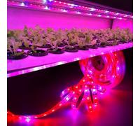 LED Grow Light Strip 4.5M Full Spectrum LED Light with 12V 5A Power Supply SMD 5050 Red Blue 4:1 for Greenhouse Indoor Flower Grow Lights