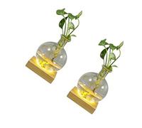 LED Illuminated Hydroponic Glass Vases for Observing Root Propagation and Creating Night Ambiances Modern Vases