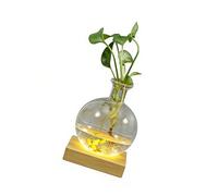 LED Illuminated Hydroponic Glass Vases for Observing Root Propagation and Creating Night Ambiances Modern Vases