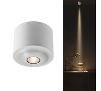 Led Indoor Spot Light For Potted Plants, Picture Jewelry Showcase Model Display Shelves, Art Decor Accent Lighting - Down Spotlight 5W 500 Lumens Ra90 Flush Mount Ceiling-White 4000k-Beam angle 10°