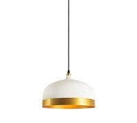 LED Industrial Pendant Light Nordic Aluminum Black/White Chandelier Ceiling Light for Dining Room Bedroom Hanging Lamp Made in China