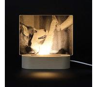 LED lamp Night Light Acrylic 3D Three-Dimensional Small Table lamp Originality Siberian Husky Gift Decorate USB Bedside lamp