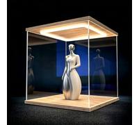 LED Light Acrylic Display Case, Dustproof Collectible Showcase with Wooden Base & Lighted Top, Transparent Storage Box Cabinet(60x50x50cm(24x20x20in))