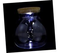 LED Light Ecology Bottle Borosilicate Glass DIY Micro Landscape