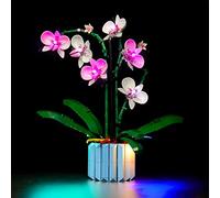 LED Light Set Compatible with Lego 10311 Icons Orchid Set (No Lego Model Included, DIY Lighting Set Compatible with Orchid Lego Flower Adults Botanical Collection Home Decoration Classic Version