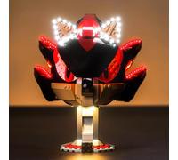 Led Light Set Compatible with Lego Shadow the H'edgehog 77000 (No Model), Decoration Lighting Set for 77000 Shadow the H'edgehog Creative Toys - Standard Version