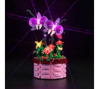 LED Light Set for Lego Disney Encanto Isabelas Flower Pot, No Lego Included, Decorative Lighting Set for Lego 43237 Isabela’s Flowerpot, Creative Toy