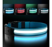LED Light Up Dog Collar - Rechargeable Magnetic Charging Waterproof - 1600FT High Visibility Glow Flashing Collar - Night Walking Safety Collar for Small Medium Large Dogs (Blue, L (15-20in))