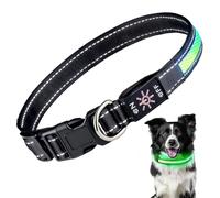 LED Light Up Dog Collar: Rechargeable Waterproof Safety Collars for Dogs During Night Walking - Glow in The Dark Lights for Pet Flashing Gear - Best Glowing Neon Lighted USB Accessories at Nite Time