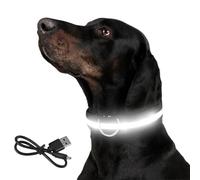 LED Light Up Dog Collar - Rechargeable & Waterproof - USB Illuminated Dog Collar for Night Safety - Glow in the Dark, Flashing Dogs Collars for Walking - Medium, Green - Reflective Glow Collars