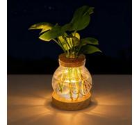 LED Light-Up Hydroponic Vase,Plant Propagation Station with Wooden Saucer, Glass Terrarium with Stepless Dimming Function Container Jars Gardening Gifts for Mom Women Plant Lovers