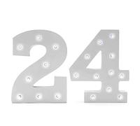 LED Light Up Number 24