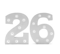 LED Light Up Number 26