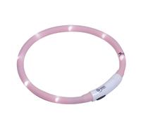 LED lighted dog collars Nobby Pet Puppy